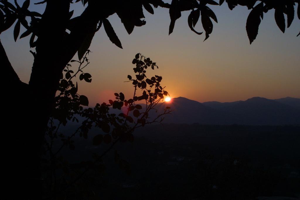 Forni Rosaia Villa Olivola  Buitenkant foto