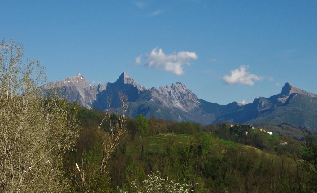 Forni Rosaia Villa Olivola  Buitenkant foto