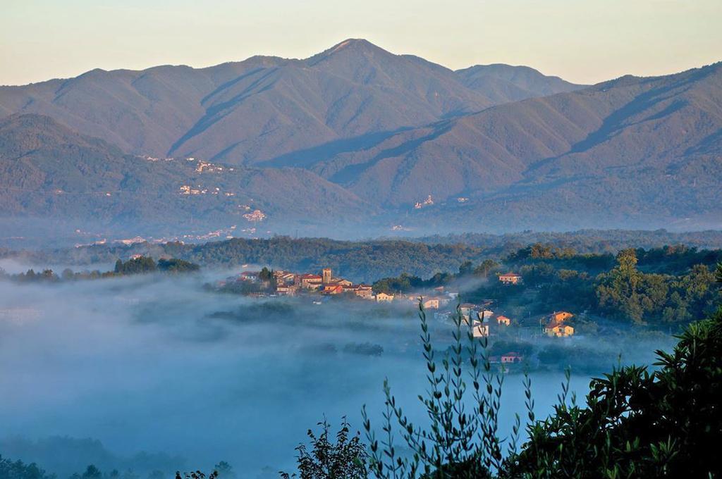 Forni Rosaia Villa Olivola  Buitenkant foto