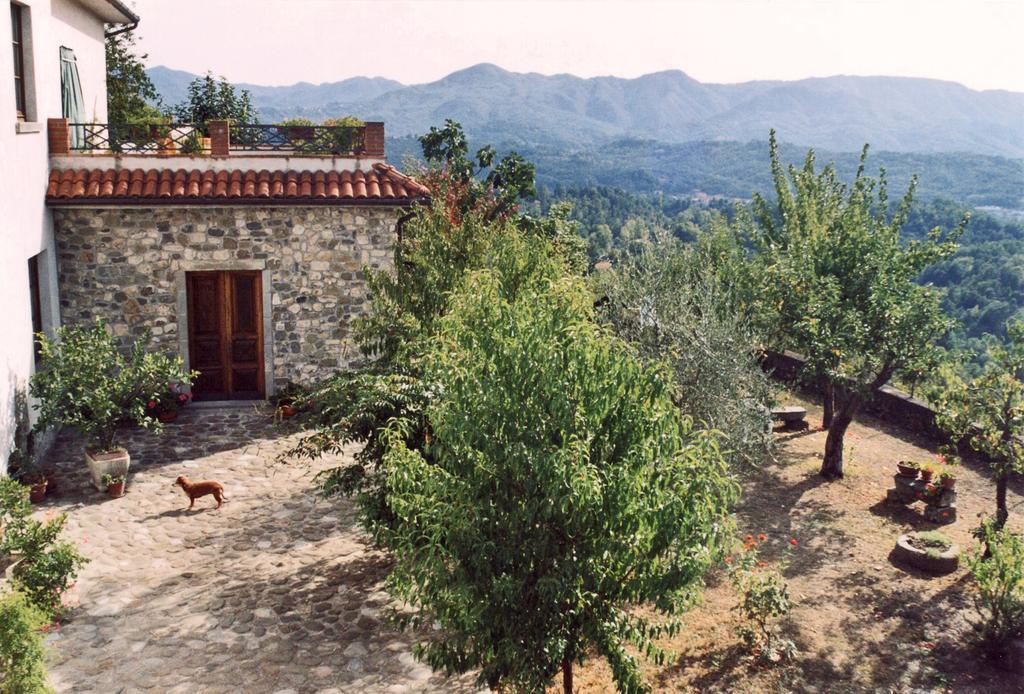 Forni Rosaia Villa Olivola  Buitenkant foto